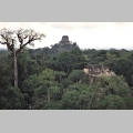 Tikal - widok oglny miasta Majw