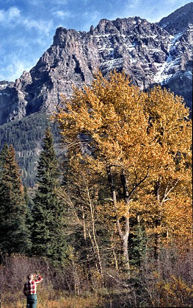 Glacier National Park - Montana (1)