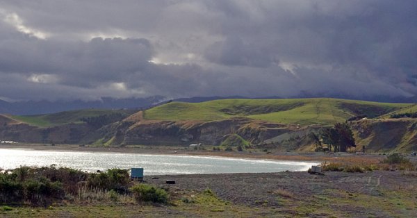 Wybrzee morskie w pobliu Kaikoura (2)