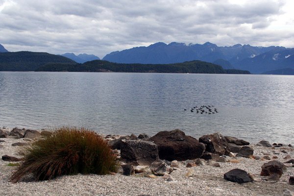 Jezioro Manapouri (Alpy Poudniowe)