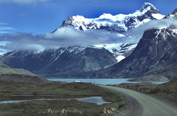 W sercu parku Torres del Paine